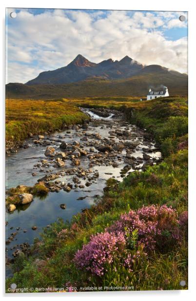 Isle of Skye Scotland Sligachan Allt Dearg Cottage Acrylic by Barbara Jones