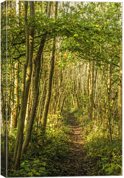 The pathway through the woods in south Wales Canvas Print by Nick Jenkins