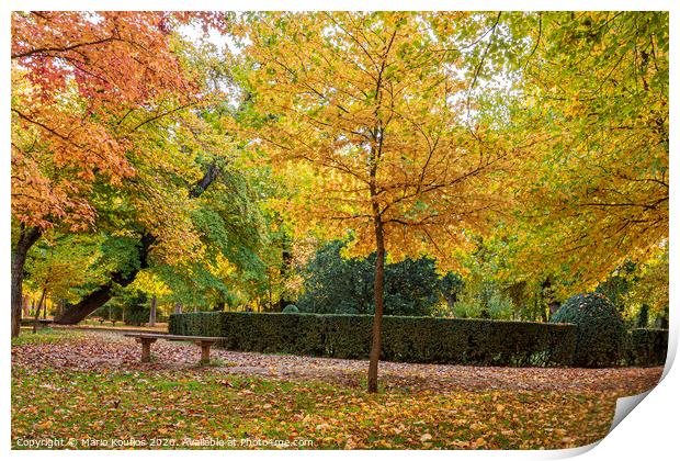 Park with trees with vibrant foliage and colorful fallen leaves by autumn. . Aranjuez Community of Madrid. Spain Print by Mario Koufios