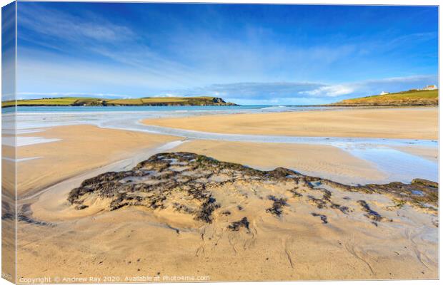 Daymer Beach Canvas Print by Andrew Ray
