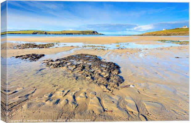 Daymer Bay Canvas Print by Andrew Ray