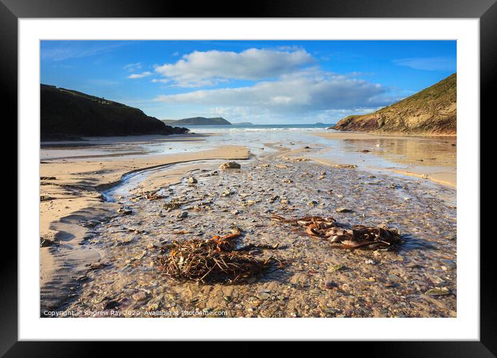 Pentireglaze Haven (Polzeath) Framed Mounted Print by Andrew Ray