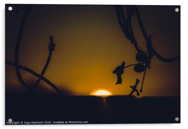 Sun goes down Acrylic by Ingo Menhard
