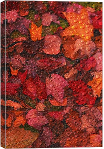 Fallen Leaves Canvas Print by Tom York