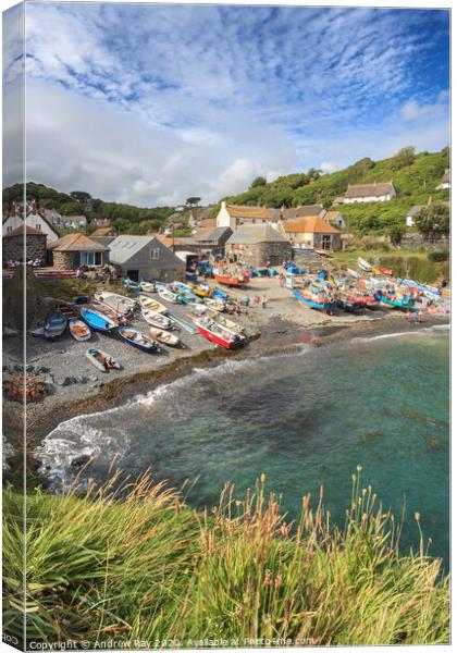 Cadgwith View Canvas Print by Andrew Ray