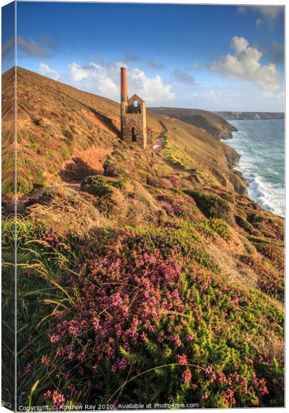 Engine House at Wheal Coates Canvas Print by Andrew Ray