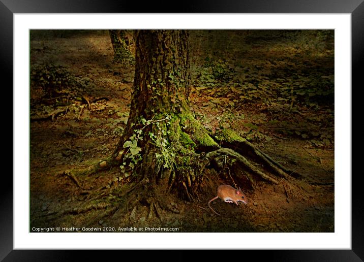 Roots Framed Mounted Print by Heather Goodwin