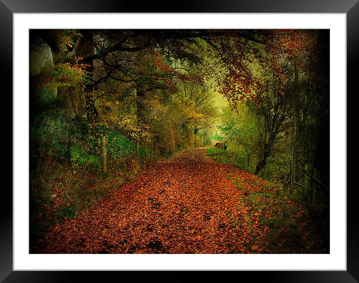 Autumn Framed Mounted Print by Irene Burdell