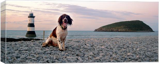 Scooby at Penmon Lighthouse Canvas Print by Simone Williams