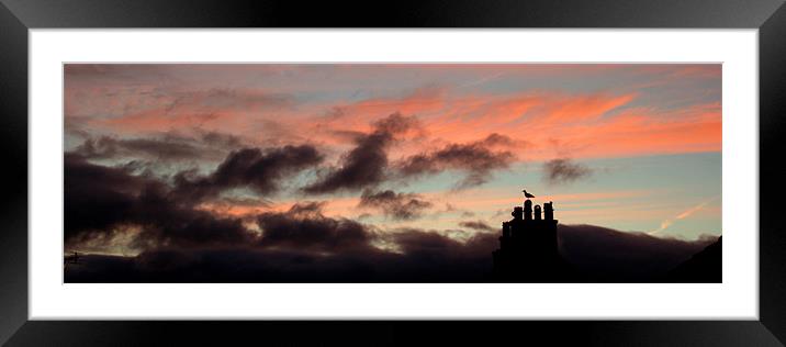The early bird Framed Mounted Print by Simone Williams