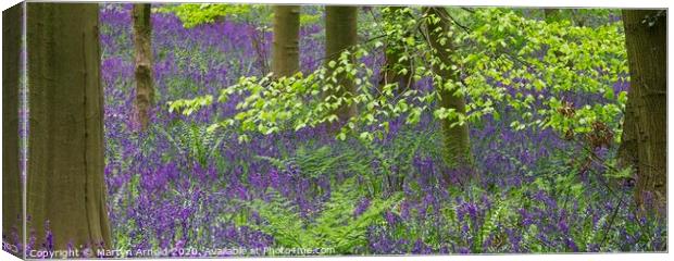 Spring Bluebells in a Woodland Canvas Print by Martyn Arnold