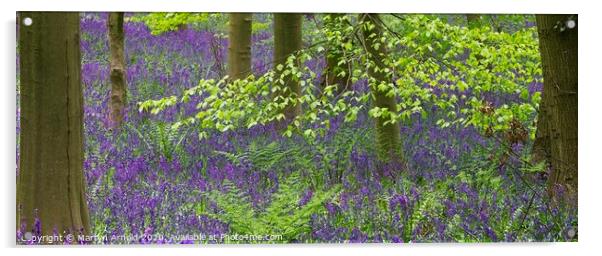 Spring Bluebells in a Woodland Acrylic by Martyn Arnold