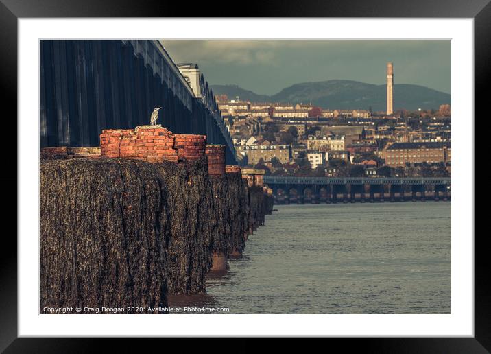 Dundee Heron Framed Mounted Print by Craig Doogan