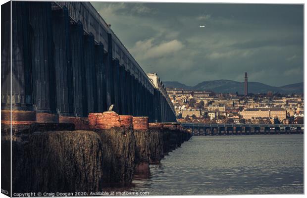 Heron on the Tay Canvas Print by Craig Doogan