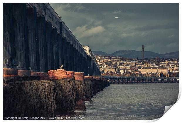 Heron on the Tay Print by Craig Doogan