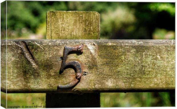 Fence Post Number 5 Canvas Print by Jacqui Farrell