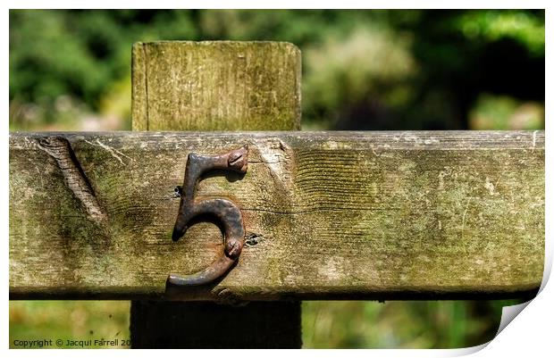 Fence Post Number 5 Print by Jacqui Farrell