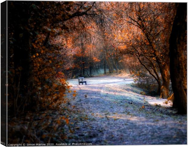 A place to sit and think in Autumn colours Canvas Print by Simon Marlow