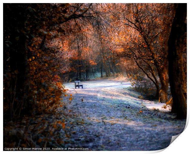 A place to sit and think in Autumn colours Print by Simon Marlow