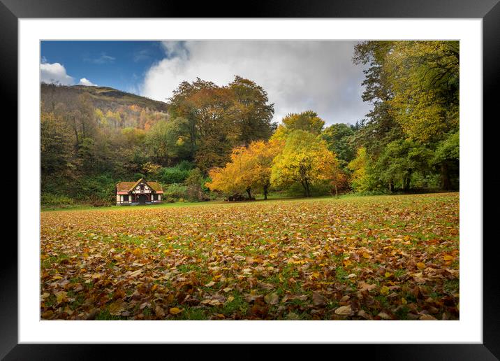 Autumn at Craig-y-Nos Country park  Framed Mounted Print by Leighton Collins