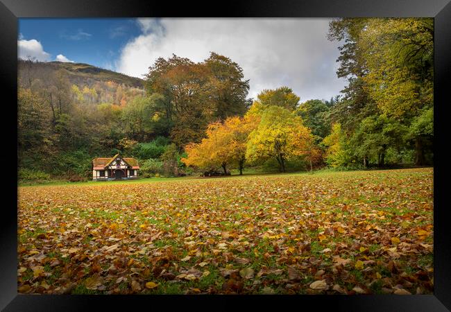 Autumn at Craig-y-Nos Country park  Framed Print by Leighton Collins