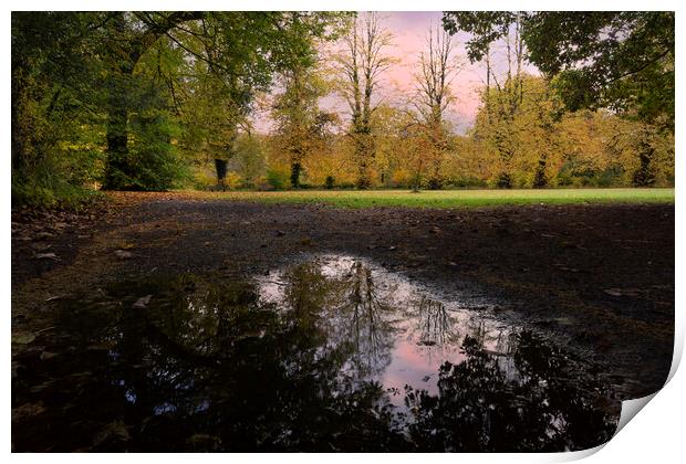 Autumn reflections in a field Print by Leighton Collins