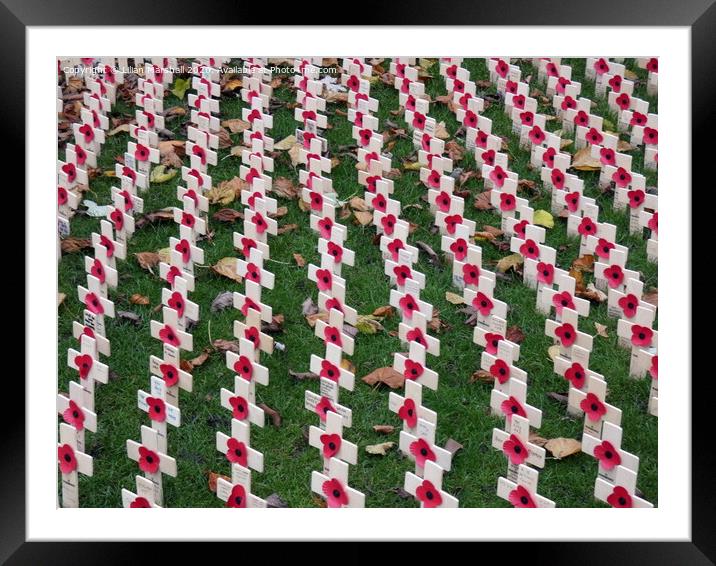 Remembering those that fought for us.  Framed Mounted Print by Lilian Marshall