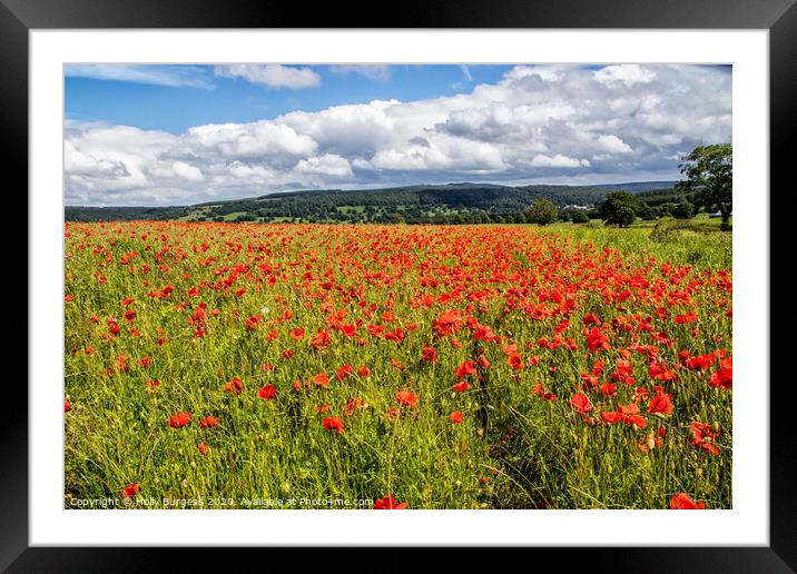 Field of Poppies Framed Mounted Print by Holly Burgess