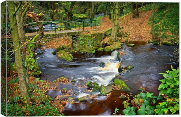 Hind Wheel Waterfalls and Footbridge  Canvas Print by Darren Galpin
