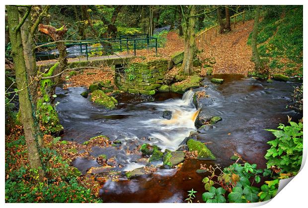 Hind Wheel Waterfalls and Footbridge  Print by Darren Galpin