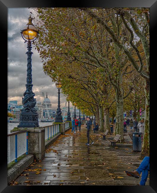 On the Banks of the River Framed Print by Craig Burley