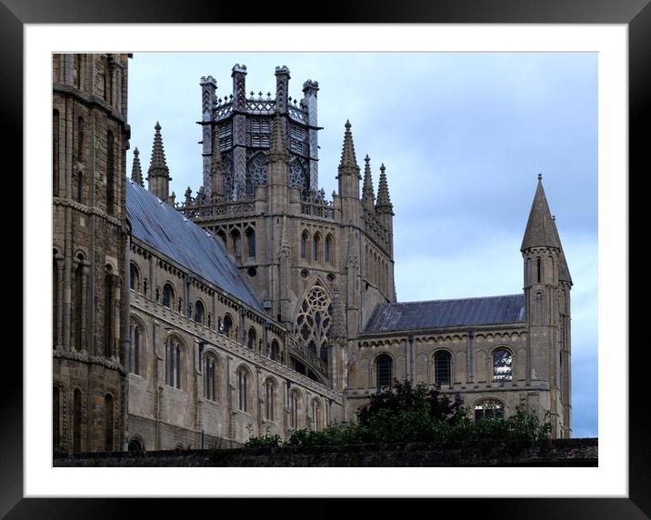 Ely Cathedral Cambridgeshire  Framed Mounted Print by Jacqui Farrell