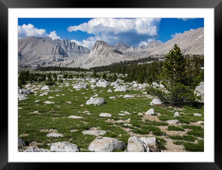 High Sierras Framed Mounted Print by Terri Steele