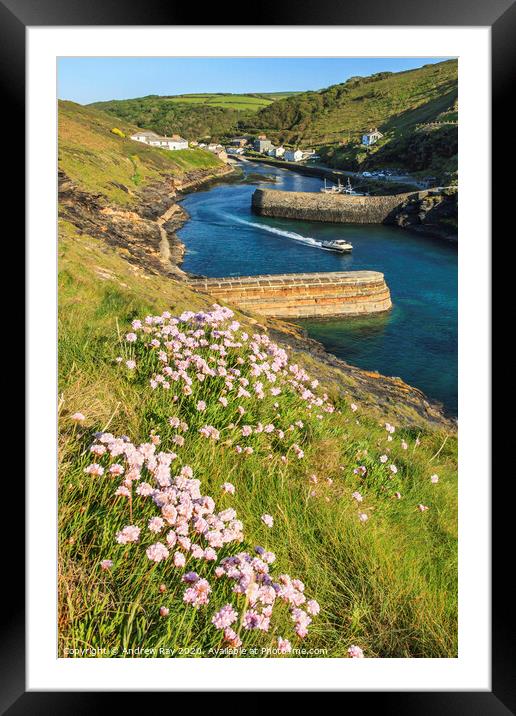 Boat departing Boscastle Harbour Framed Mounted Print by Andrew Ray