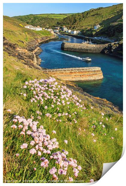 Boat departing Boscastle Harbour Print by Andrew Ray