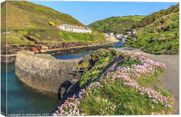 Thrift at Boscastle Canvas Print by Andrew Ray
