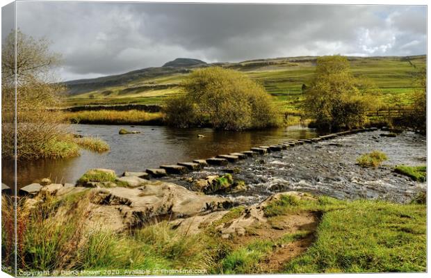  Ingleborough and  Stepping Stones Yorkshire Dales Canvas Print by Diana Mower