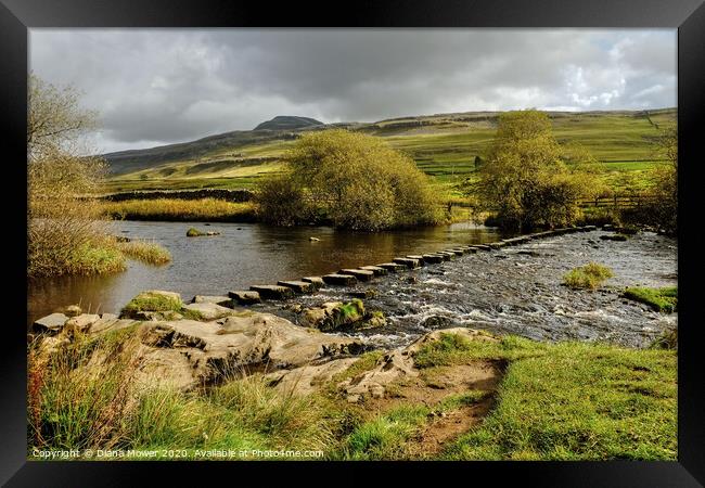  Ingleborough and  Stepping Stones Yorkshire Dales Framed Print by Diana Mower