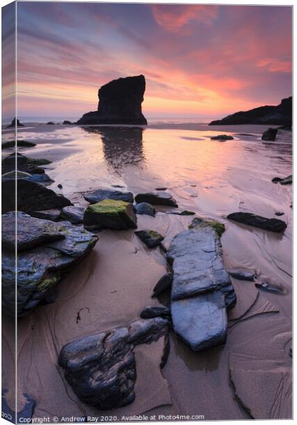 Bedruthan Beach at sunset Canvas Print by Andrew Ray