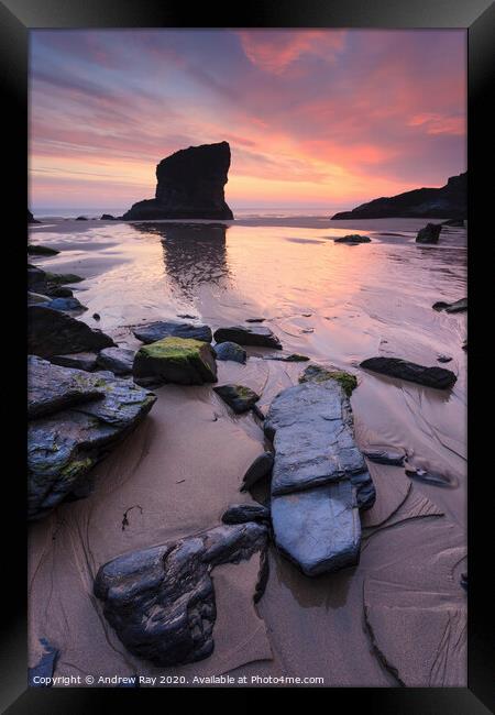 Bedruthan Beach at sunset Framed Print by Andrew Ray