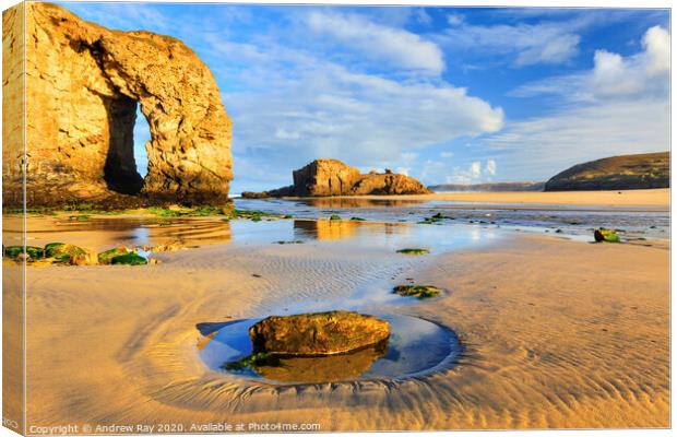 Morning light (Perranporth) Canvas Print by Andrew Ray