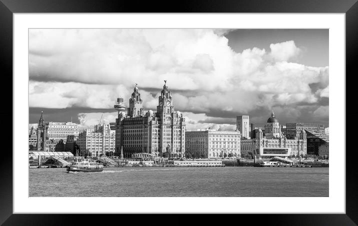 Royal Iris crossing the River Mersey Framed Mounted Print by Jason Wells