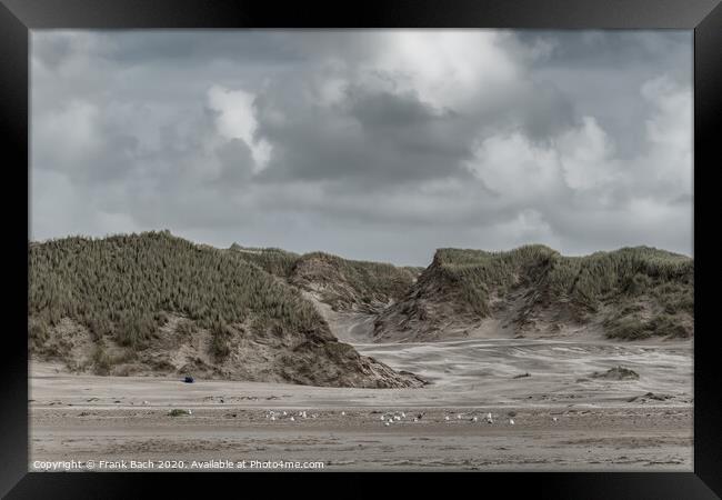 Blaavand beach dunes at the North sea coast on a windy day, Denmark Framed Print by Frank Bach