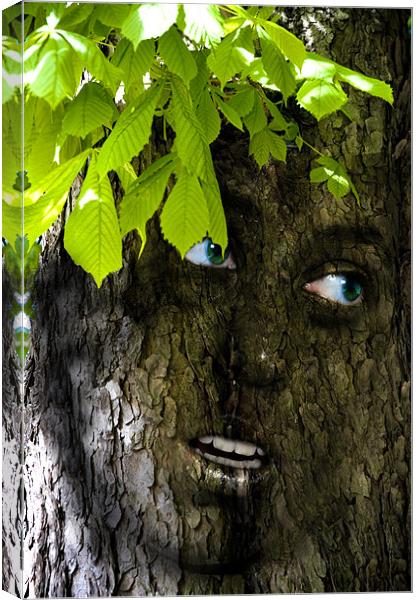 Conker tree girl Canvas Print by Nathan Wright