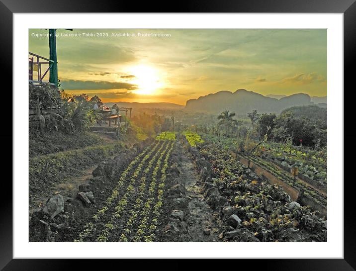 Sunset over Farmland Framed Mounted Print by Laurence Tobin