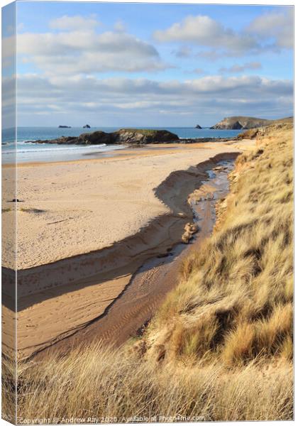 Dunes view (Constantine Bay) Canvas Print by Andrew Ray