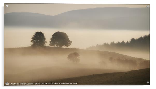 Morning Mists Acrylic by Peter Lovatt  LRPS