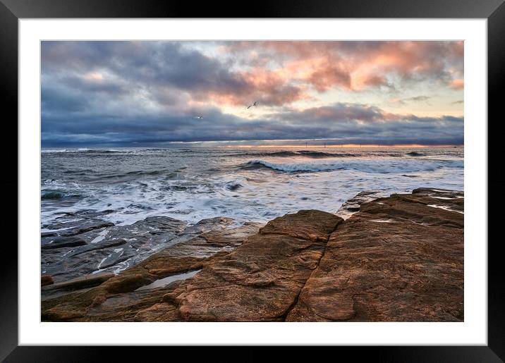 Scarlet Blues Framed Mounted Print by John Ellis