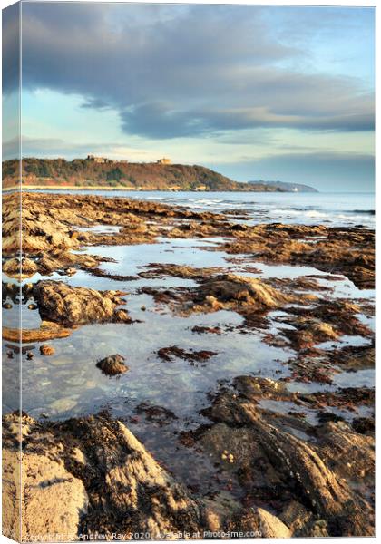 Rock Pool at Falmouth Canvas Print by Andrew Ray