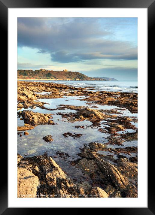 Rock Pool at Falmouth Framed Mounted Print by Andrew Ray